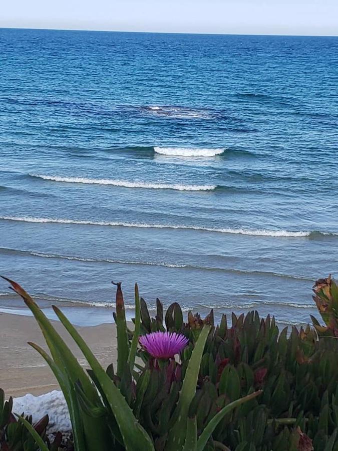 Playa Flamenca Splendid Apartment On The Beach Alicante Buitenkant foto